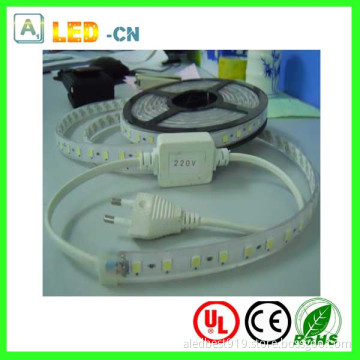 5050 60LEDs/M 220V SMD LED Ribbon Light